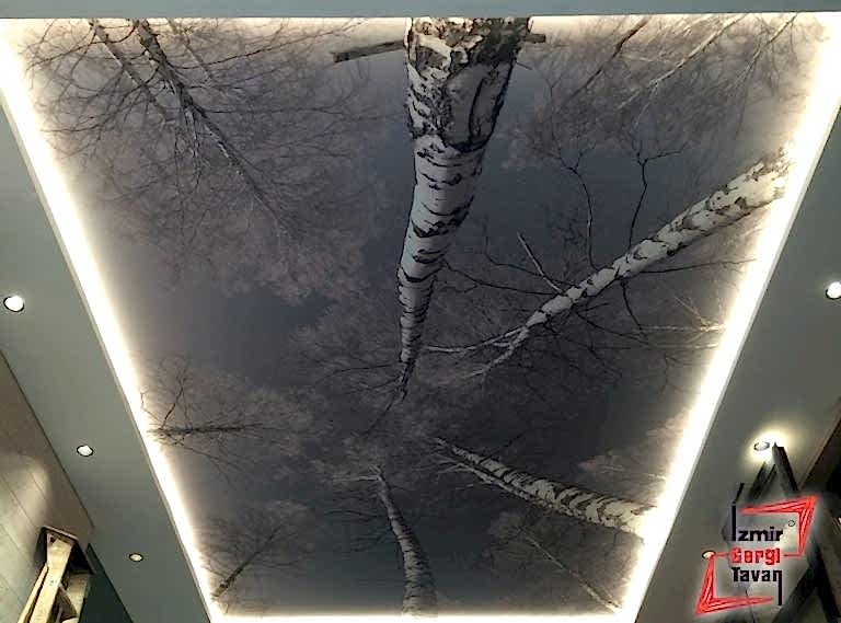 İzmir Gergi Tavan