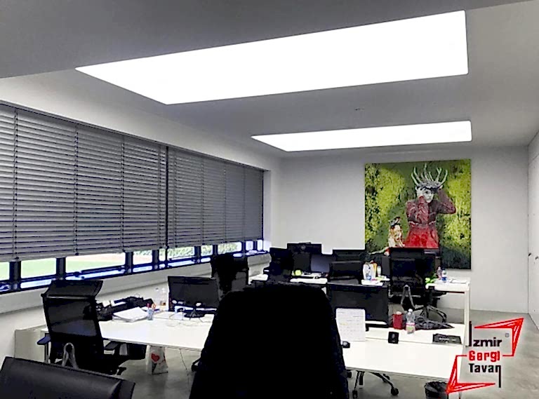 Transparan Gergi Tavan (13)